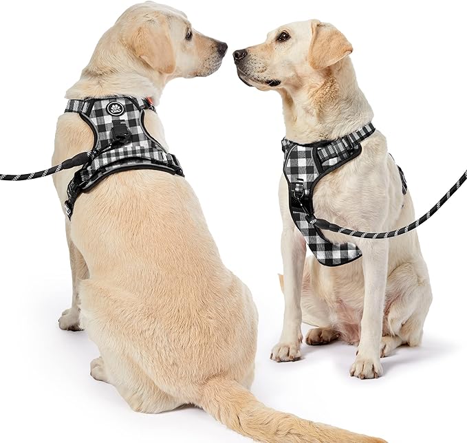 NESTROAD Dog Harness (Checkered Black,S) with Leash, Reflective, Adjustable, Soft Padded, Easy Control Handle, for Small Dogs, Front & Rear Clip Design