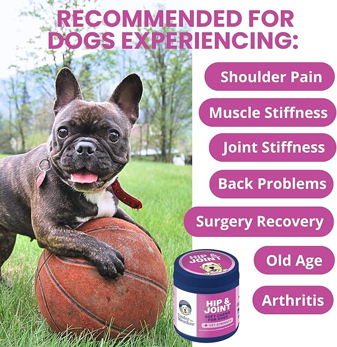 Under the Weather Pet Hip & Joint Chews for Dogs | Vet Formulated Dog Joint and Hip Supplement | Daily Chews with Chondroitin & MSM for Mobility & Flexibility Support | 60 Count