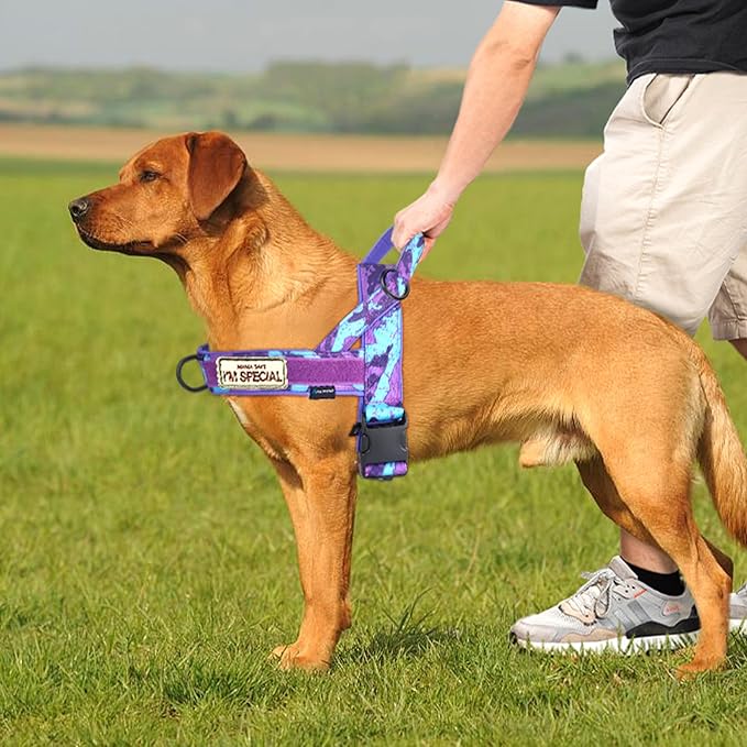 Annchwool No Pull Dog Harness with Soft Padded Handle,Escape Proof and Quick Fit to Adjust Dog Harness,Easy for Training Walking for Small & Medium and Large Dogs(Camo Purple,L)