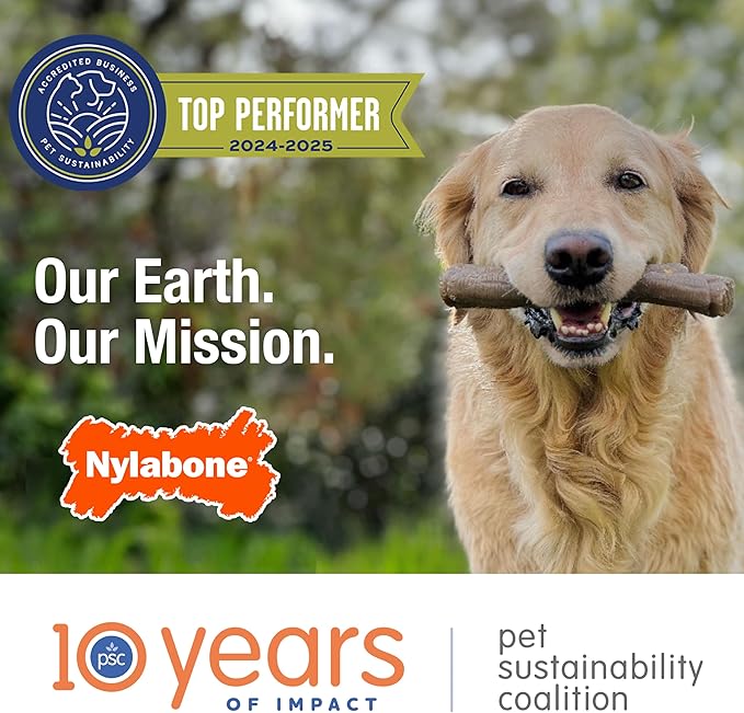 Nylabone Original Bone Power Chew Toy for Dogs, Durable & Tough Dog Toys for Aggressive Chewers, Original Flavor, Large - Up to 50 Ibs, 1 Count