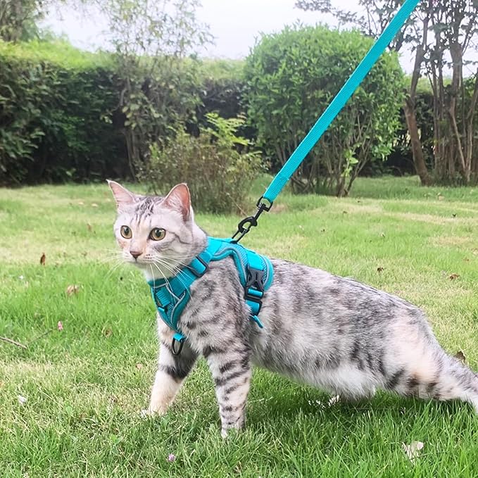 Cat Harness and Leash Set Escape Proof Tactical Extra Large Kitten Harness Emotional Support Cat Vest, Turquoise, XL