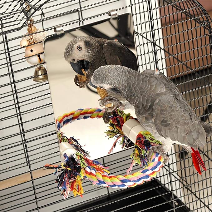 Colorday 9" Bird Mirror with Rope Perch, Bird Swing, Parrot Cage Toys for Parakeet African Grey Conure Cockatiel Lovebird Finch Canarie, Large