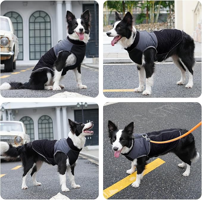 Warm Fleece Dog Coats for Small Dogs,D-Rings Waterproof Puppy Jacket for Cold Winter,Black M