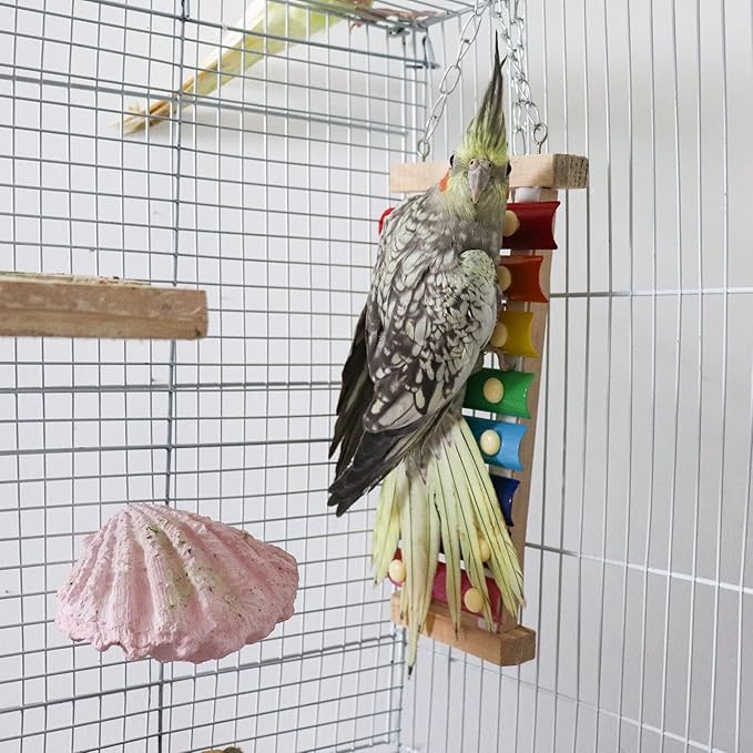 Dnoifne Colorful Bird Xylophone Toy, Suspensible Funny Xylophone Toy with 8 Metal Keys, Cage Accessories for Chicken Birds Parrots Parakeets Cockatiels Budgies Love Birds