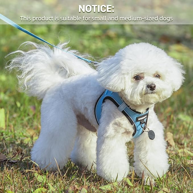 Dog Harness and Leash Set, Dog Harness for Dogs No Pull, No-Chock Step-in Reflective Breathable Lightweight Easy Walk Vest Harnesses with Safety Buckle for Small Medium Dogs, Cats (Light Blue, L)