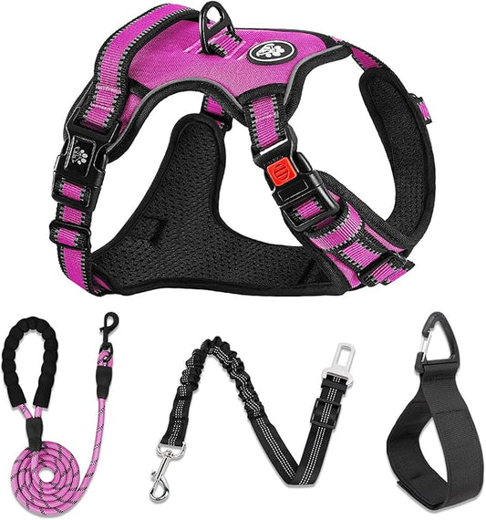 NESTROAD No Pull Dog Harness,Adjustable Oxford Dog Vest Harness with Leash,Reflective No-Choke Pet Harness with Easy Control Soft Handle for Small Dogs(Small,Fuchsia Pink)