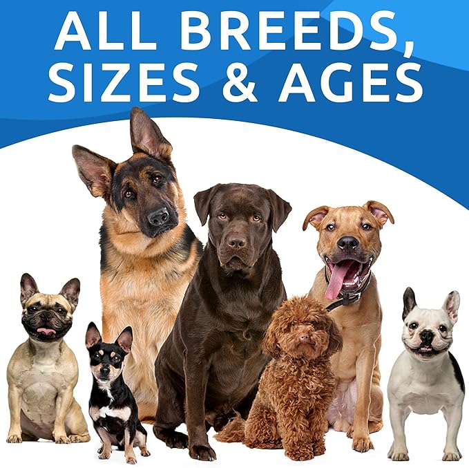 Pumpkin for Dogs - Powdered Fiber Supplement and Stool Softener - Treat Diarrhea, Constipation, Upset Stomach, Food Sensitivity - Improve Digestion - 8.1 oz Jar Natural