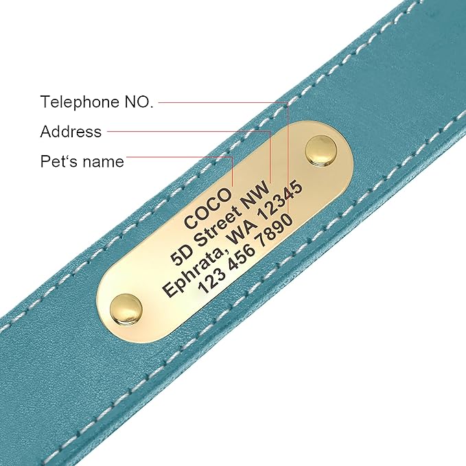 Didog Genuine Leather Dog Collars with Engraved Nameplate, Personalized Soft Leather Dog Collar with Custom ID Tag, Brown/Green/Red for Medium Large Dogs (XXL,Blue)