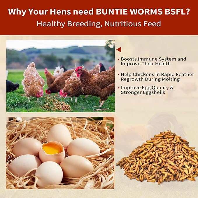 Dried Black Soldier Fly Larvae 5LB, High Protein Chicken Feed, 100% Natural Non-GMO – Treat for Chicken More Calcium Than Mealworms, Food for Laying Hen, Ducks, Wild Birds