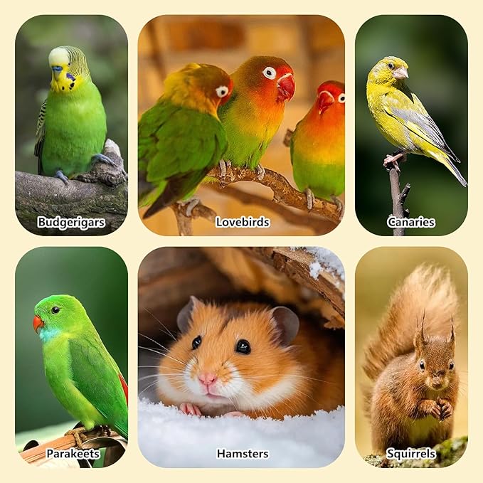 Fhiny 6 PCS Parakeet Treats Natural Cockatiel Food Grain & Vegetable & Millet Flavored Parrot Snack Sticks Bird Treats for Budgerigars Lovebirds Canaries Conurus Finches