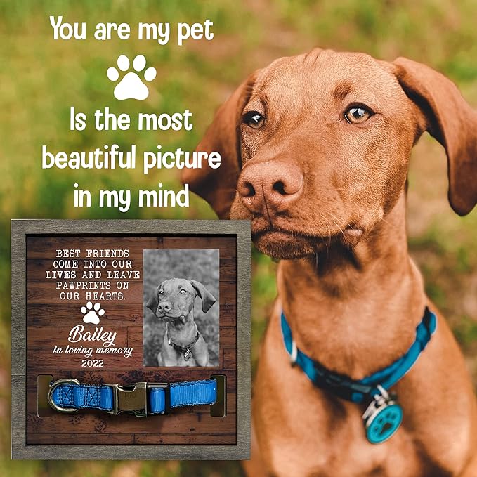 Personalized Dog Collar Frame Memorial Pet Loss Sign Dog & Cat Lover Ever Gifts With Heartfelt Sentimental Quote For Someone Who Lost A Pet Collar Keepsake Picture Frame Remembrance Decor