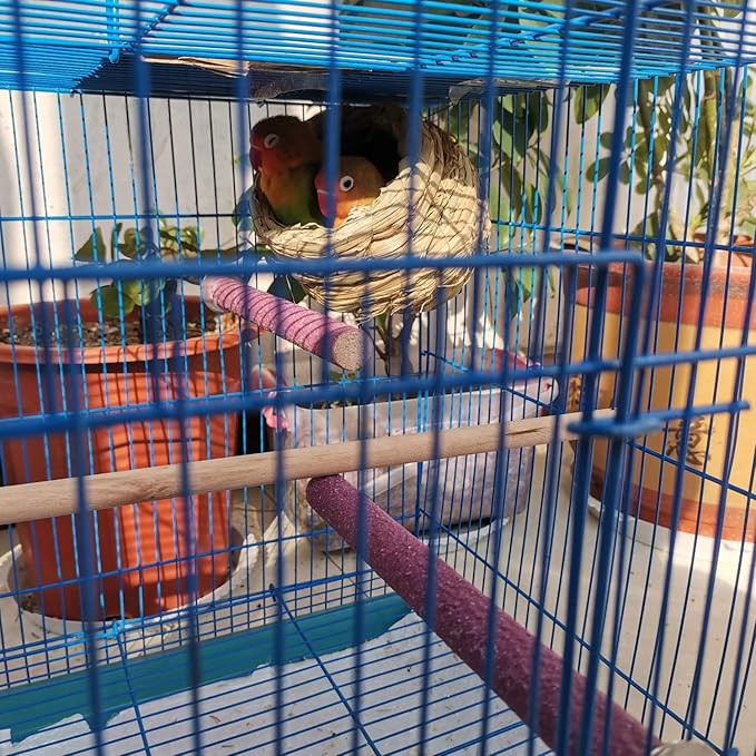 Hamiledyi Parrot Perch Stand Toy, Bird Cage Perch Toy,Natural Paw Grinding Stick for Small Parrots, Parakeets, Cockatiels, Lovebirds Chewing Stick(S)