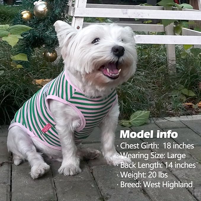 KYEESE 2Pack Dog Shirts Striped for Small Dogs Soft Stretchy Pet T-Shirts Lightweight Tank Top Sleeveless Vest Breathable Cat Outfit, Small, Green+Pink