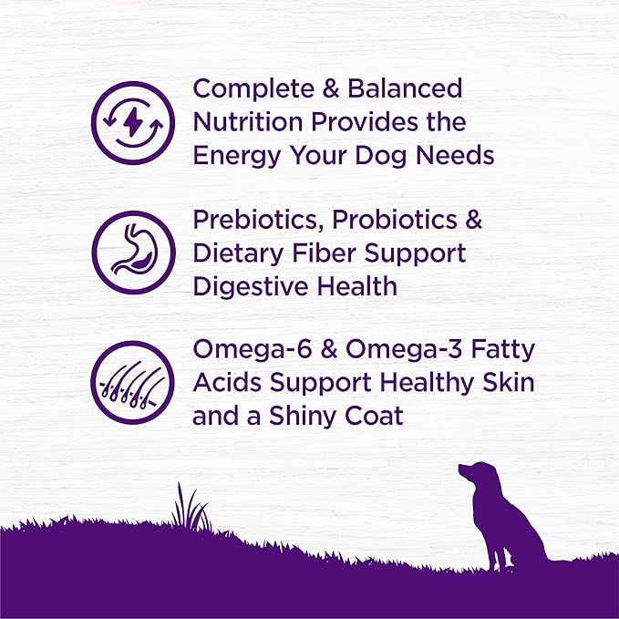 Wellness Complete Health Dry Dog Food, Wholesome Grains, Natural, Beef & Barley Recipe, (5-Poud Bag)