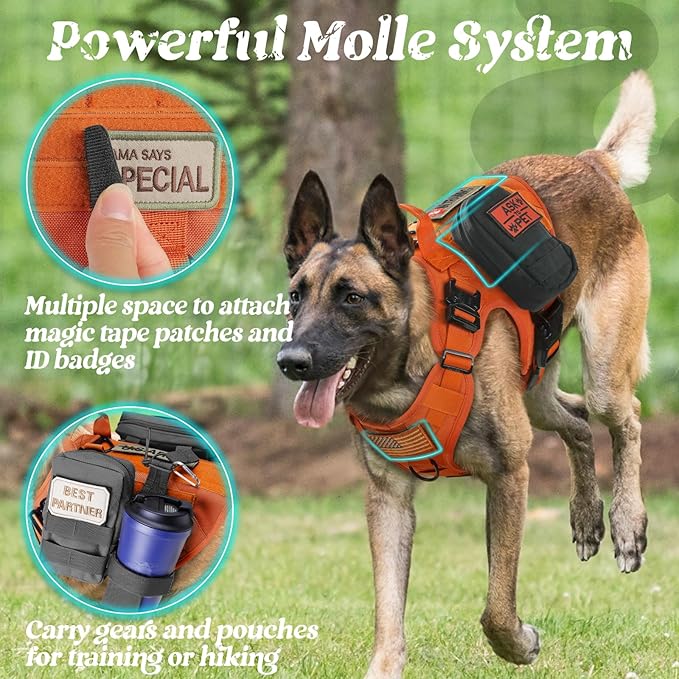 rabbitgoo Tactical Dog Harness for Large, Heavy Duty Pet Harness with Handle, No-Pull Service Vest Large Breed, Adjustable Military Dog Vest for Training Hunting Walking, Orange, L