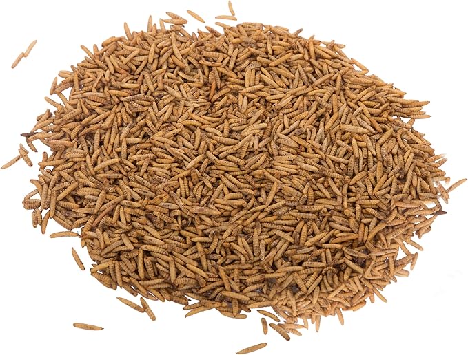 2Lbs Chubby Dried Black Soldier Fly Larvae 100% Made in North America High Calcium Sustainable Dried BSF Larva for Chickens Protein Snack for Laying Hens, Wild Birds & Reptiles