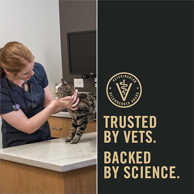 Purina Pro Plan LiveClear Senior Cat Food 7+ Cat Allergen Reducer Prime Plus Chicken and Rice Formula - 5.5 lb. Bag