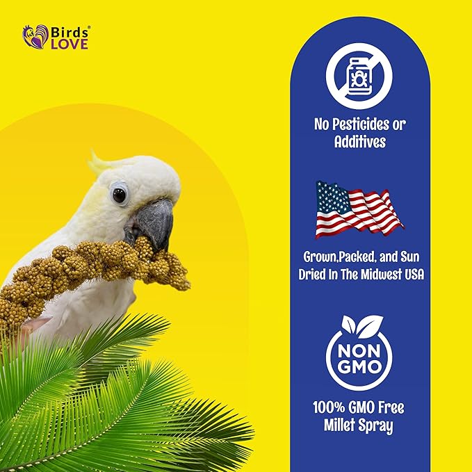 Birds LOVE Economy Special Spray Millet GMO-Free (No Stems Only Edible Tops) for Birds Cockatiel Lovebird Parakeet Finch Canary All Parrots Healthy Treat - 7oz