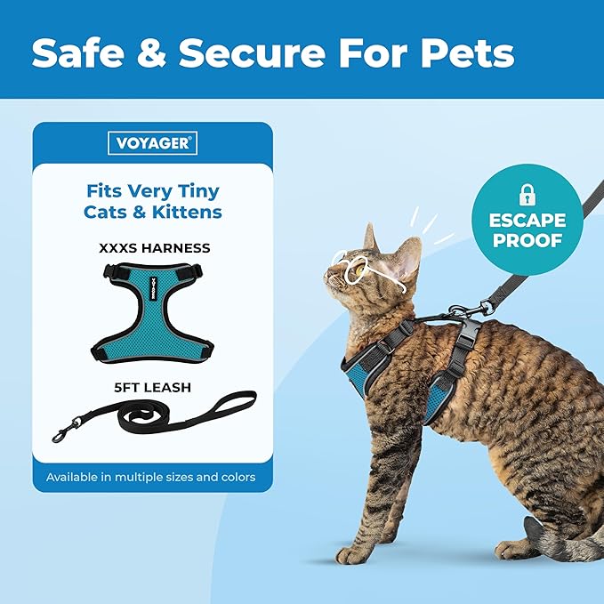 Voyager Escape Proof Cat Harness and Leash Set with Reflective Stitching, Neoprene Handle 5ft - Supports Small, Medium and Large Cats, Kittens for Walking by Best Pet Supplies - BT-Turquoise, XXXS