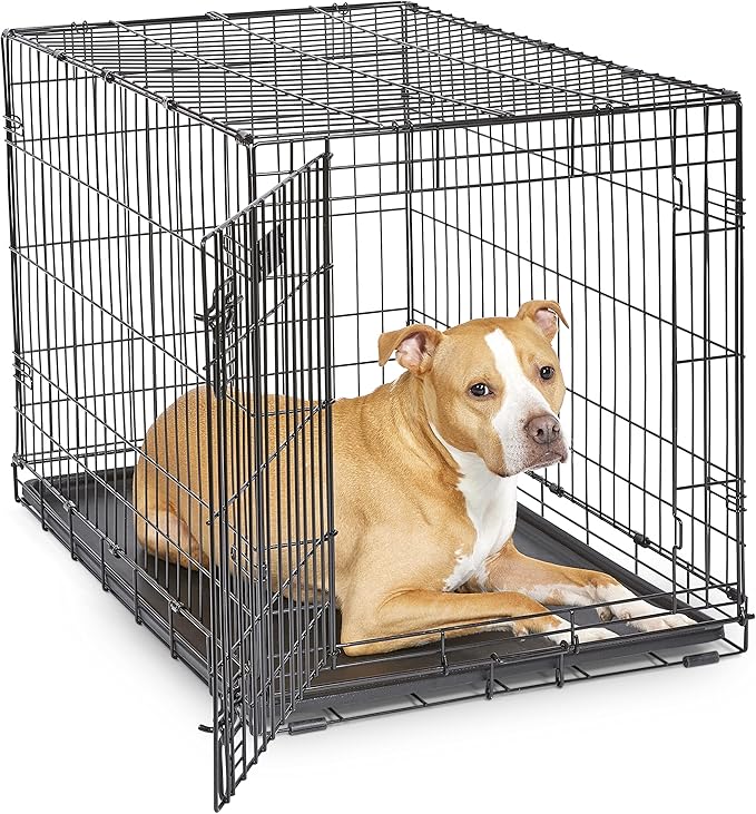MidWest Homes for Pets 36-Inch iCrate Folding Dog Crate with Divider Panel, Leak-Proof Tray & Secure Latches – Metal Wire Kennel for Medium Large Breeds – Portable, Durable & Easy to Assemble