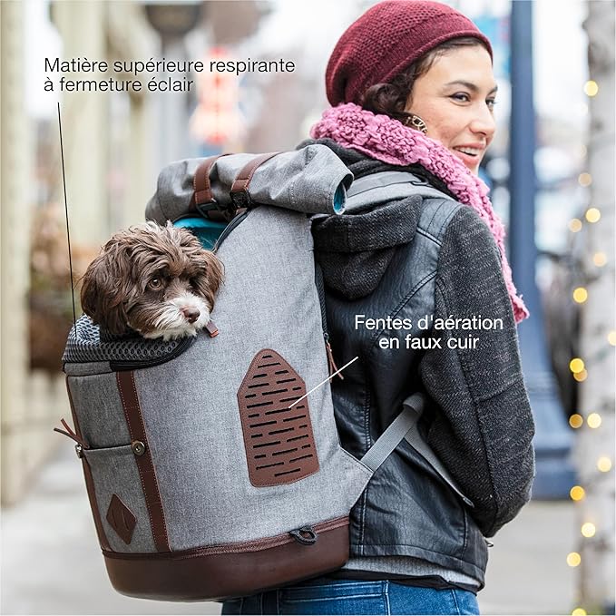 Kurgo Dog Carrier Backpack for Small Pets - Hands-Free Pet Travel Backpack - Armorsole Base - Convertible Backpack to Carrier - Rugged Pet Backpack - Heather Grey