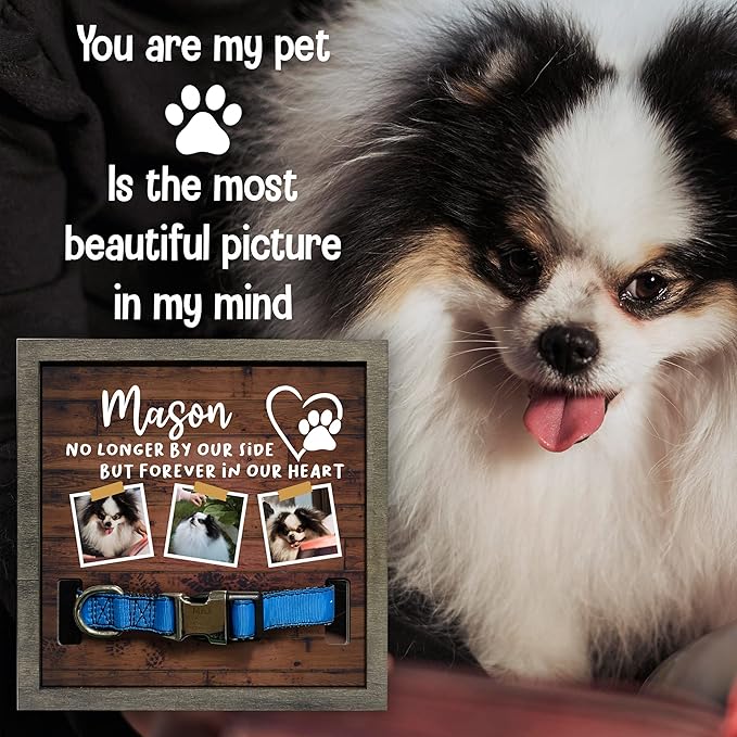 Personalized Dog Picture Frames Pet Memorial Dog for Daughter from Mom Best Ever for Dog Lovers Wall Decor TableTop Loss Sign Wood Frame with Collar Sympathy Pet Loss