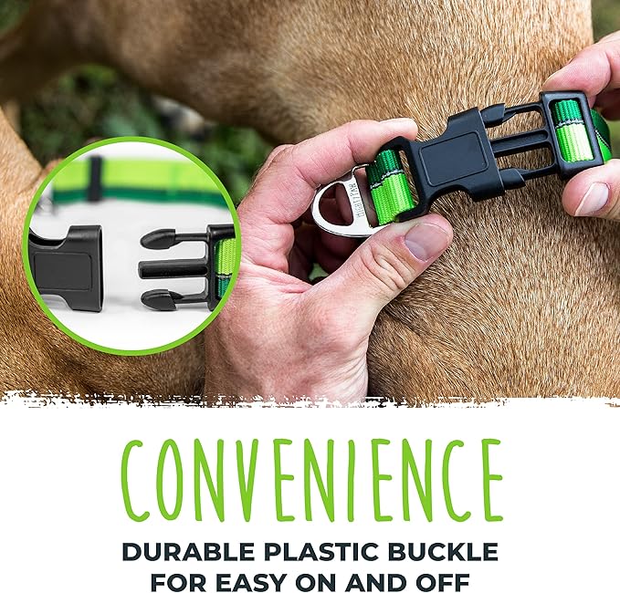 Mighty Paw Martingale Dog Collar - Gentle Correction with No More Pulling - Strong 100% Stainless Steel Chain - Weatherproof Won't Rust - Built to Last Premium Quality Nylon - Durable Plastic Buckle