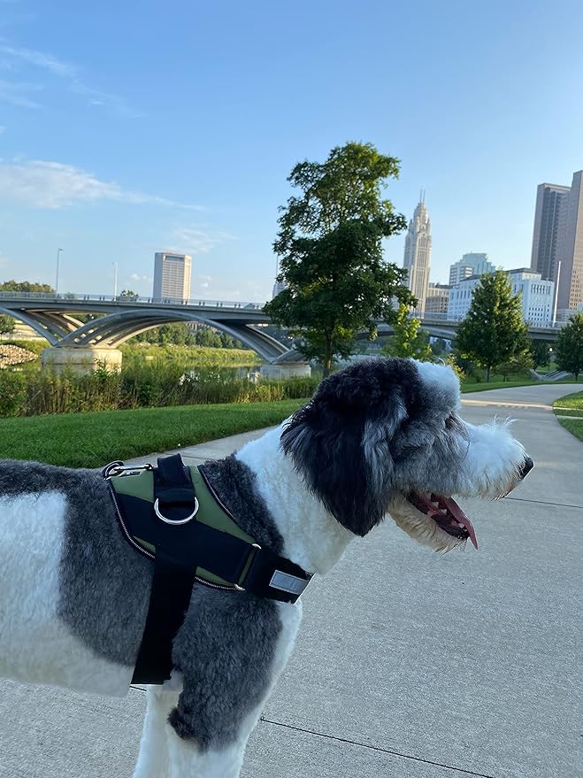 ShawnCo Essential Dog Harness, No-Pull Pet Vest with 3 Leash Clips, No Choke, Reflective, Adjustable and Padded, for Easy Walking and Training for Small, Medium and Large Dogs (Olive Green, S)