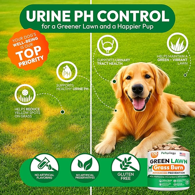 Dog Urine Neutralizer for Lawn - 170 Green Lawn Chews for Dogs - Pee Grass Burn Spot Saver Caused by Dog Urine with Probiotics & Digestive Enzymes - Advanced Gut Health Supplement, Rocks