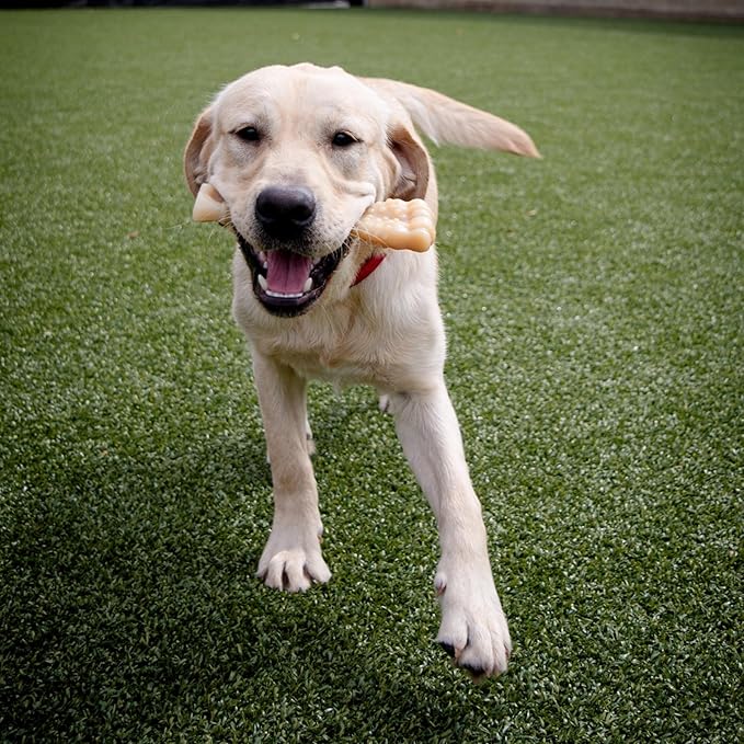 Nylabone Textured Knuckle Bone Power Chew Toy for Dogs, Durable & Tough Dog Toys for Aggressive Chewers, Original Flavor, X-Large - Over 50 Ibs, 1 Count