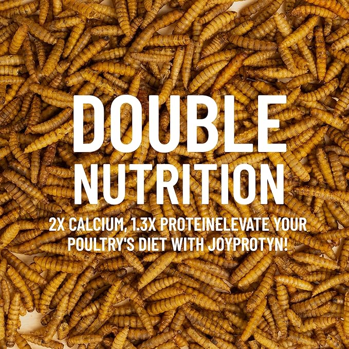 5LB Non-GMO Dried Black Soldier Fly Larvae for Chicken – 85X More Calcium Grubs Than Mealworms for Strong Eggshells & Healthy Growth - High Protein for Chickens, Birds, Ducks, Geese & Pets