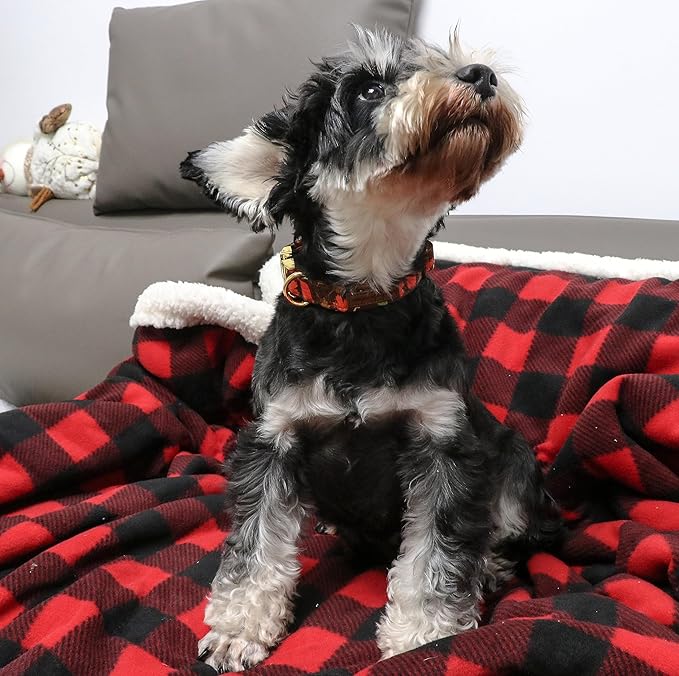 Unique style paws Dog Collar Metal Buckle Maple Leaves Collar Gift Durable Cute Collar for Small Medium Large Boys Girls Dogs