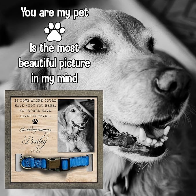 Dog Memorial Gifts Bereavement Gifts Cat Memorial Dog Loss Sympathy Gift Custom Cat Picture Collar Frames Keepsakes Death Remembrance Funerary Decor Wall Best Dog Ever
