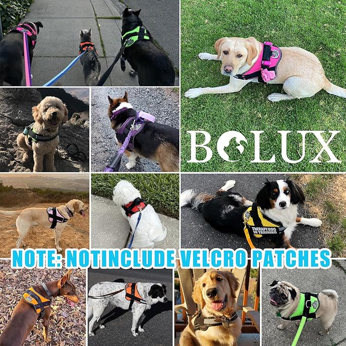 Bolux Dog Harness, No-Pull Reflective Dog Vest, Breathable Adjustable Pet Harness with Handle for Outdoor Walking - No More Pulling, Tugging or Choking (OceanicBlue, Medium (Pack of 1))