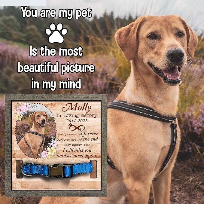 Customized Dog Collar Frame Memorial Pet Loss Sign - Best Dog Ever Gifts from Daughter Son Sympathy Gifts Pawprints Pet Decorations Hanging Wall Art Decor - Natural Memory Desk