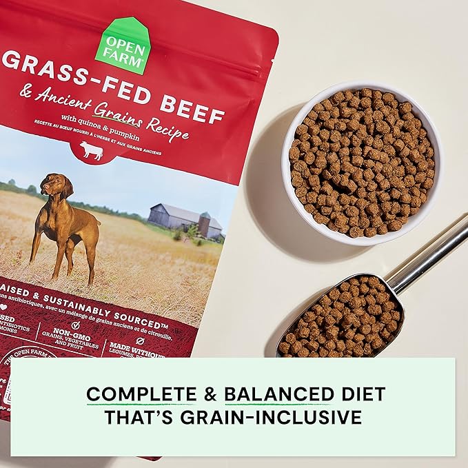 Open Farm, Ancient Grains Dry Dog Food, Protein-Rich & Nutrient Dense, 90% Animal Protein Mixed with Non-GMO Fruits, Veggies and Superfoods, Grass-Fed Beef Recipe, 22lb Bag