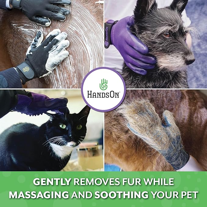H Handson Pet Grooming Gloves - Cat, Dog, Horse Gentle Hair Remover Brush - Mitt For Long & Short Haired Fur - Shedding, Bathing & Massaging Glove (Purple, Small)