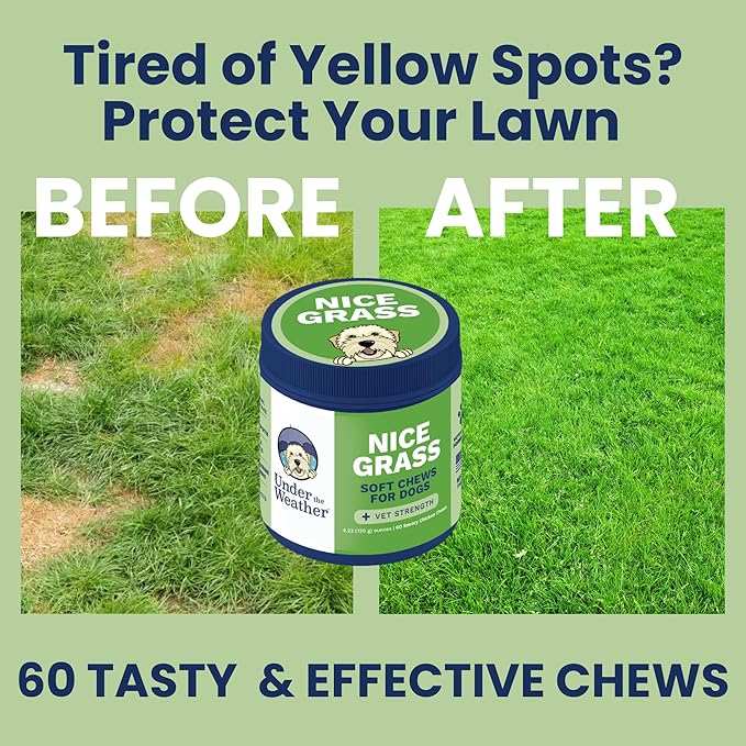 Under the Weather Nice Grass Chews for Dogs | Digestive Enzymes for Dogs | Canine Urine Neutralizer for Grass | Probiotics for Digestive Health | Vet Formulated Lawn Care Supplement | 60 Count