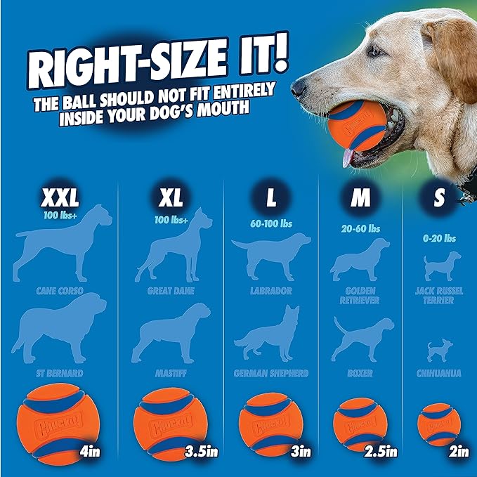 Chuckit! Dog Ball Launcher - Pro 25" with Medium (2.5"), Dog Fetch Ball Thrower, For Dogs 20-60 Pounds, Made in USA