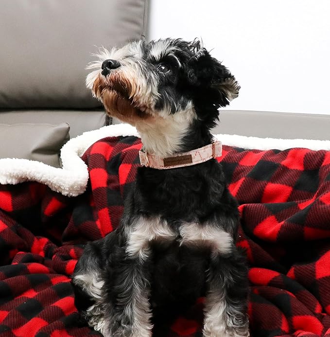 Unique style paws Christmas Dog Collar Metal Buckle Pink Gingerbread Puppy Collar Gift Durable Cute Collar for Small Medium Large Boys Girls Dogs