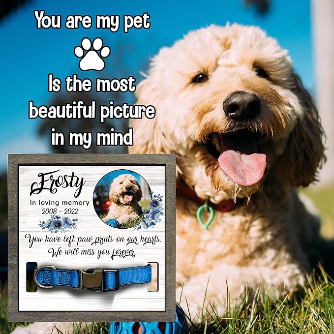 Personalized Dogs Picture Frame Dogs Collar Keepsake Bereavement Gift Pet Picture Frame Dog Heaven Dog Sympathy Gifts for Christmas Memorial Plaques for Dogs and Cat Picture Pet Loss Gifts