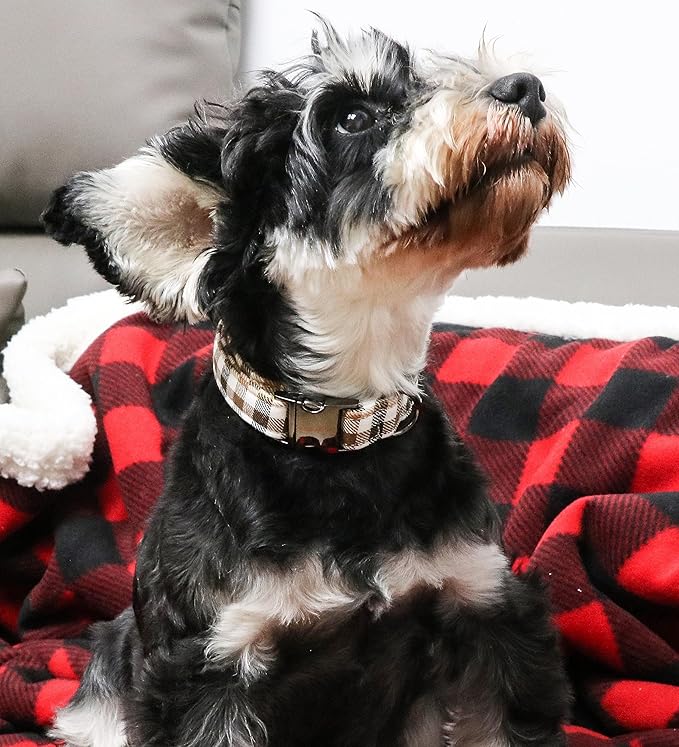 Unique style paws Dog Collar Metal Buckle Gift for Small Medium Large Boys Girls Dogs, brown plaid, XS