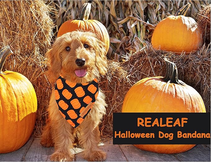 Realeaf Halloween Dog Bandana 2 Pack - Pumpkin Fall Scarf for Boys and Girls, Premium Durable Fabric, Orange Holiday Accessory for Small and Medium Dogs (Small)