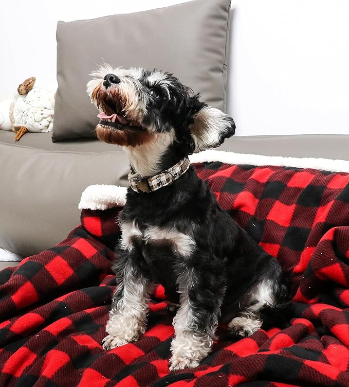 Unique style paws Dog Collar Metal Buckle Gift for Small Medium Large Boys Girls Dogs, brown plaid, XL