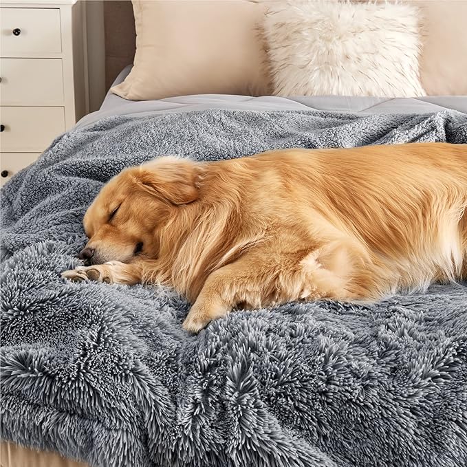 Bedsure Waterproof Dog Blankets for Large Dogs - Cat Blanket for Bed Couch Protector Washable Long Faux Fur, Calming Soft Reversible Throw Furniture Protection for Puppy Pet, 60"x80", Grey