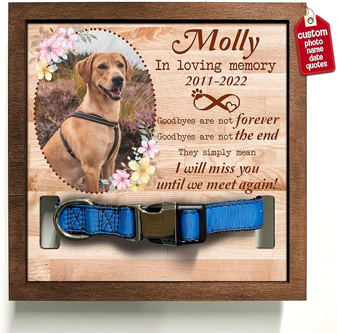 Customized Dog Collar Frame Memorial Pet Loss Sign - Best Dog Ever Gifts from Daughter Son Sympathy Gifts Pawprints Pet Decorations Hanging Wall Art Decor - Natural Memory Desk