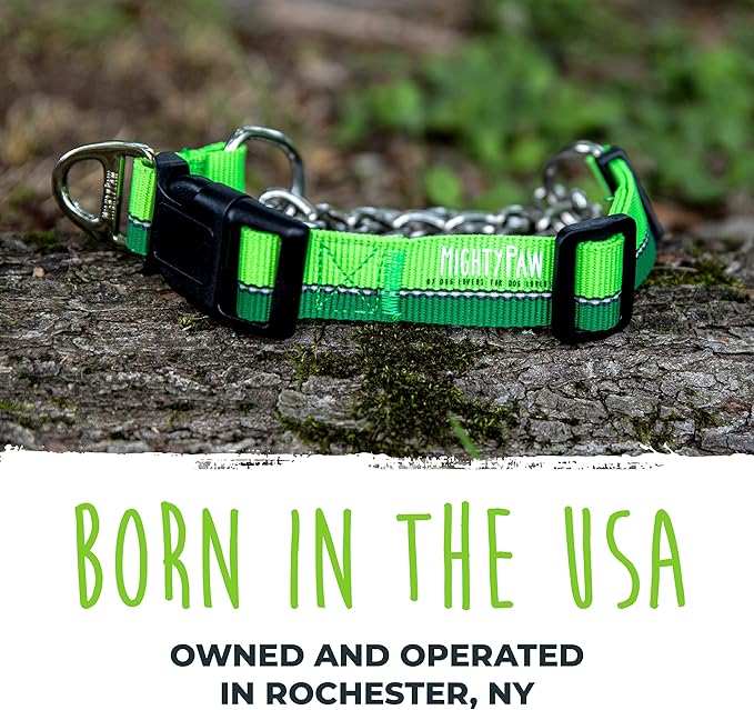 Mighty Paw Martingale Dog Collar 2.0 | Trainer Approved Limited Slip Collar with Stainless Steel Chain & Heavy Duty Buckle - Modified Cinch for Gentle & Effective Pet Training - Large, Green