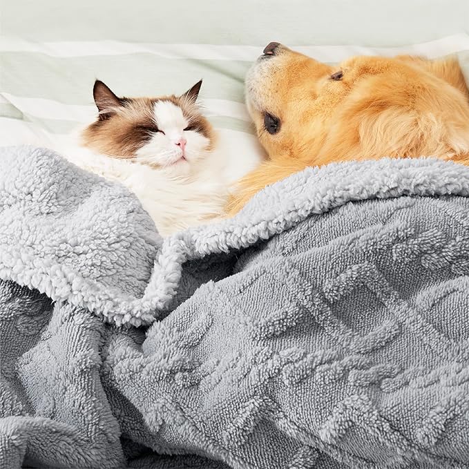 Bedsure Waterproof Dog Blankets for Bed - Pet Blanket for Bed Couch Protector Washable, Premium Jacquard Coral Fleece Cat Throw Blanket, Soft Plush Reversible Furniture Protection, Queen, 86x90, Grey