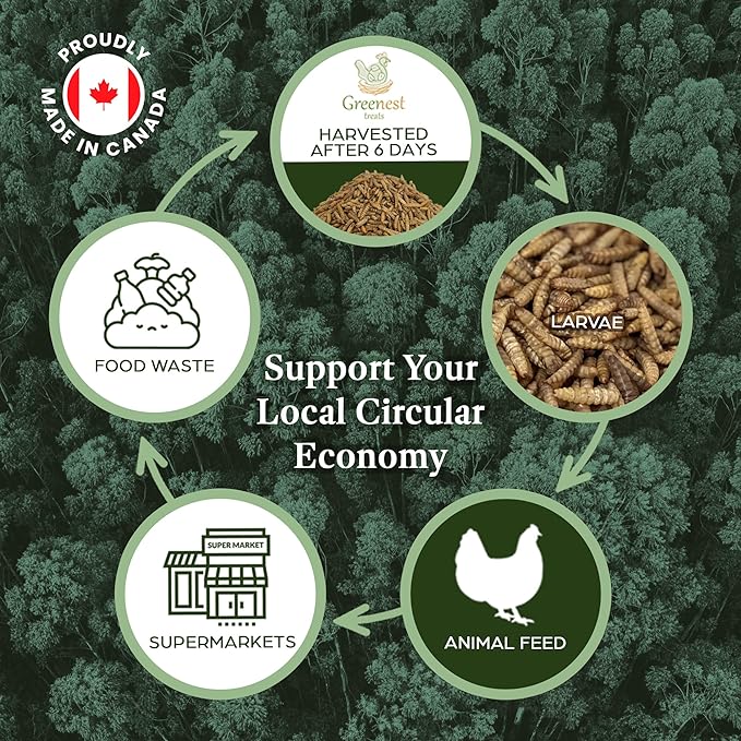 Dried Black Soldier Fly Larvae for Chicken - Treats for Hens, Duck, Wild Birds, Lizard, Tortoise, Fish - All Natural High Protein Dried Mealworms Alternative - Made in North America