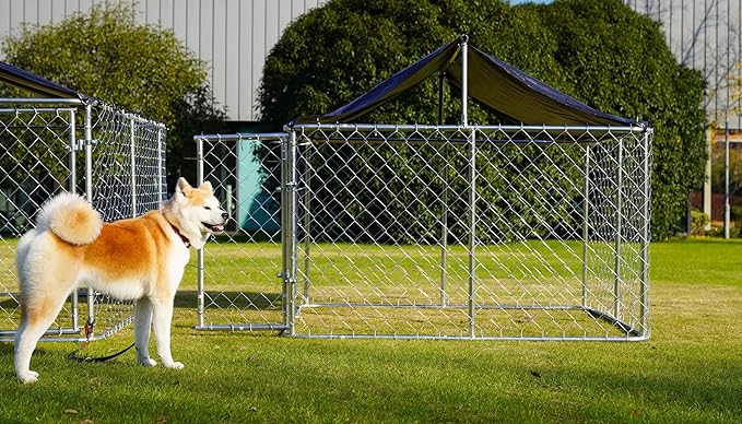 Outdoor Dog Enclosure Heavy Duty Dog Kennel House Mesh Dog Big Cage Pet Kennel Steel Fence with Secure Lock (6.56‘x 6.56’)